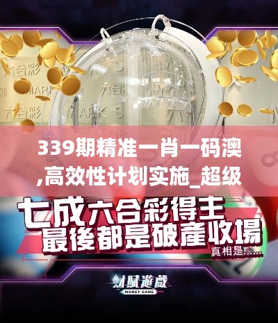 339期精准一肖一码澳,高效性计划实施_超级版9.737