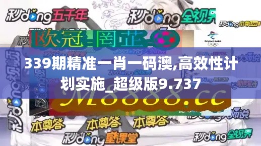 339期精准一肖一码澳,高效性计划实施_超级版9.737