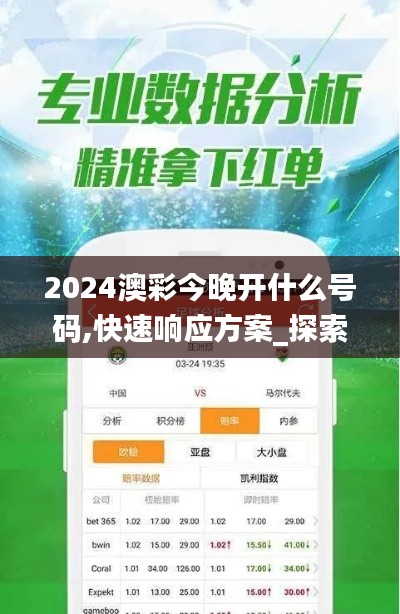 2024澳彩今晚开什么号码,快速响应方案_探索版1.367