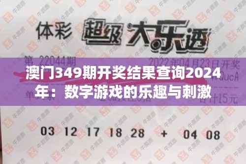 澳门349期开奖结果查询2024年：数字游戏的乐趣与刺激