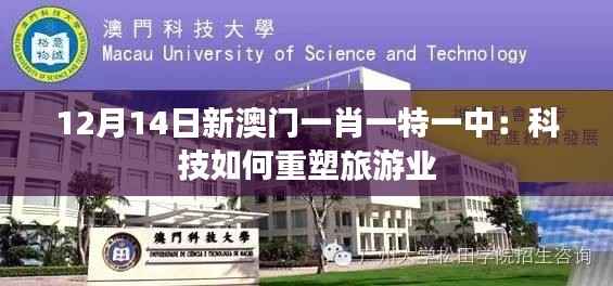 12月14日新澳门一肖一特一中:科技如何重塑旅游业
