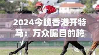 2024今晚香港开特马：万众瞩目的跨年马术盛典