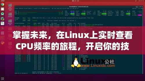 Linux实时查看CPU频率,开启技术自信,掌握未来旅程