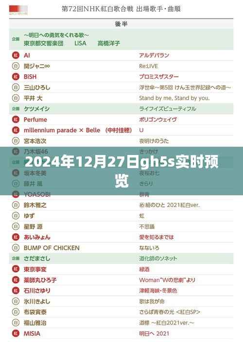 2024年GH5S实时预览功能体验